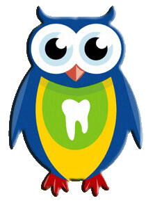 PD Owl